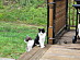 View full size picture
