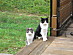View full size picture