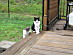 View full size picture