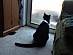 View full size picture