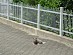 View full size picture