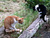 View full size picture