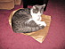 View full size picture