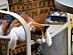 View full size picture