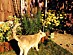 View full size picture