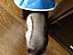 View full size picture