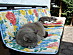 View full size picture