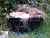 View full size picture