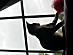 View full size picture