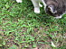 View full size picture