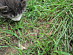 View full size picture