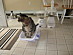 View full size picture