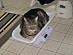 View full size picture