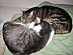 View full size picture