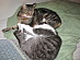 View full size picture