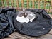 View full size picture
