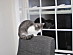 View full size picture