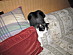 View full size picture