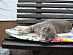 View full size picture