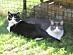 View full size picture