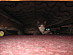 View full size picture
