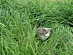 View full size picture