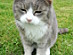 View full size picture