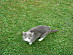 View full size picture