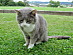 View full size picture