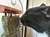 View full size picture