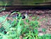 View full size picture