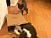 View full size picture