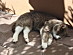 View full size picture