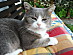 View full size picture