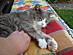 View full size picture