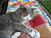 View full size picture