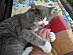 View full size picture