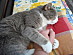 View full size picture