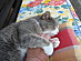 View full size picture