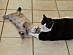 View full size picture