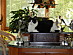 View full size picture