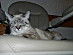 View full size picture