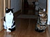 View full size picture