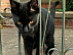View full size picture