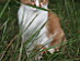 View full size picture