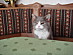 View full size picture
