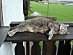View full size picture