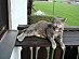 View full size picture