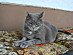 View full size picture