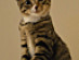 View full size picture